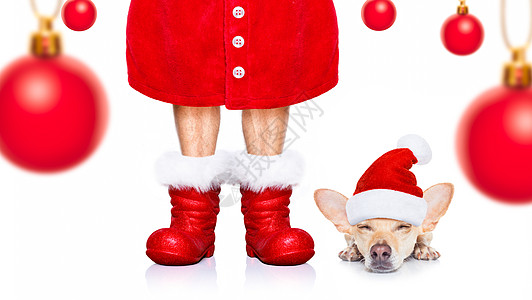 圣诞圣圣卡萨斯狗惊喜卡片展示伙伴朋友标语礼物靴子传统宠物图片
