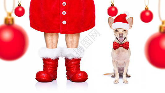 圣诞圣圣卡萨斯狗卡片惊喜戏服宠物帽子靴子假期季节展示朋友图片