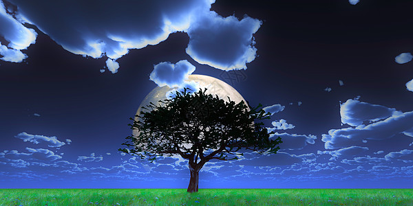 树夜满月3d仁德月光场景天文学公园天空绿色植物森林假期蓝色图片