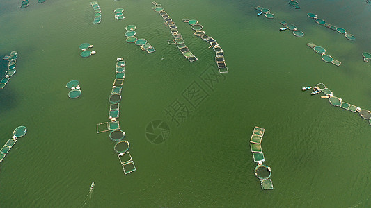 菲律宾Taal湖上的渔场天线农场水池鱼笼海鲜圆圈养鱼场环境农业食物图片