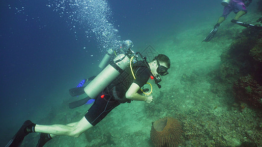 水下潜水器海洋勘探闲暇乐趣自由野生动物潜水员旅行活动珊瑚图片