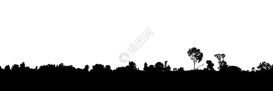 在孤立的白色背景下 树木的景观轮廓图片
