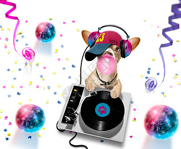 dj Disco舞蹈音乐俱乐部 派对晚会镜球俱乐部庆典舞蹈耳机动物房子录音机音乐音乐会打碟机图片