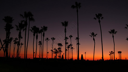 加州夏季黄昏暮色唯美 紫色戏剧性的日落 美国加利福尼亚州洛杉矶圣塔莫尼卡太平洋度假胜地著名威尼斯海滩上的棕榈树标志性轮廓 大气日图片