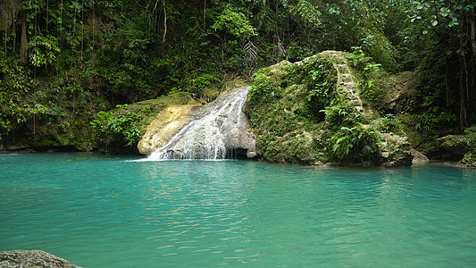 美丽的热带瀑布菲律宾宿务宿务丛林旅游绿叶环境流动森林叶子天堂岩石石头图片