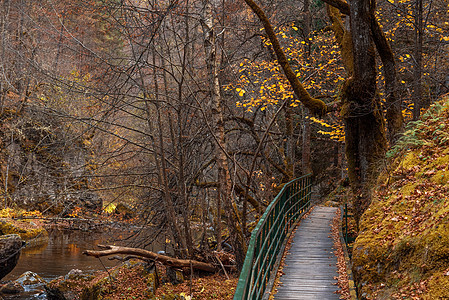 保加利亚Devinska河峡谷的远足者大桥踪迹旅行岩石峡谷溪流森林公园场景环境流动图片