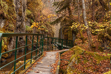 保加利亚Devinska河峡谷的远足者大桥森林旅行环境旅游流动运动峡谷林地岩石溪流图片