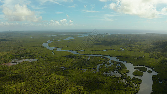 红树林和河流的空中景象环境风景旅游荒野岛屿旅行假期植被景观丛林图片
