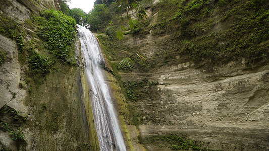 美丽的热带瀑布菲律宾宿务宿务岩石天堂环境旅游木头流动风景溪流宿雾绿叶图片