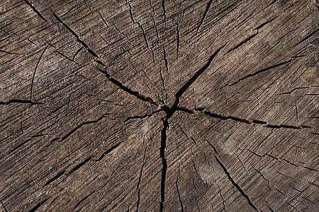 破裂的树纹理心材背景的抽象纹理 背景的木材纹理图片