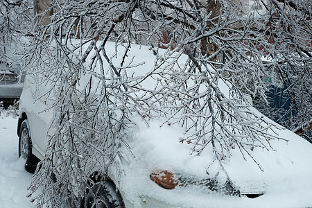 一辆停泊的汽车满是白雪和树枝 秋季和冬季背景图片