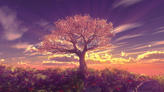树春天在草地上日落天空地平线水彩花园绘画日出墙纸魔法季节太阳图片