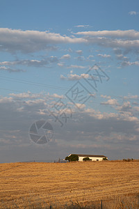 安达卢西亚南部的农业农场 满天云彩爬坡葡萄园拖拉机种植季节阳光种子土地天空农民图片
