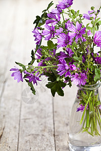 野生紫罗兰花装在玻璃瓶里 在生锈的木制桌子背景上图片