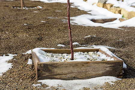 花园里春天的雪融化 树洞和花园里的土地部分在雪中图片