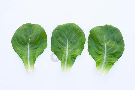 白背景的生菜叶饮食纤维收成生活植物花园生长叶子长叶莴苣图片