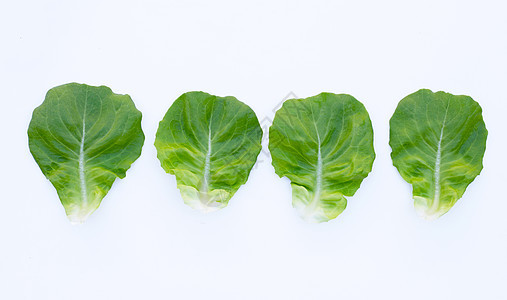 白背景的生菜叶食物蔬菜沙拉收成饮食长叶纤维生长叶子栽培图片