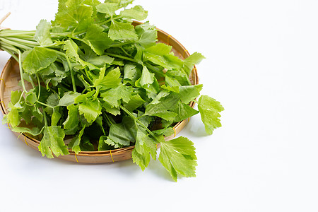 白色背景的中国菜菜菜生产叶子草本植物花园食物饮食团体萝卜蔬菜芹菜图片