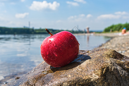 一个成熟又多汁的红苹果 躺在一块石头上 在河流和岸边的背景之下图片