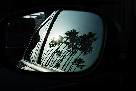 股票摄影图片车辆天空假期窗户棕榈反射热带镜子交通海滩图片