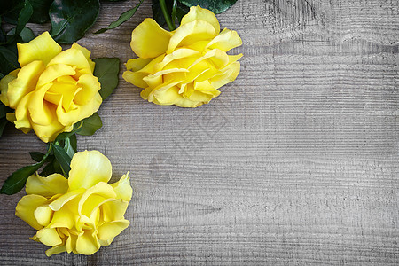 浅木背景上的奢华黄色花朵花框植物假期木材风格白色团体派对装饰花瓣图片