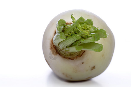 静生摄影维生素市场生长宏观食物厨房植物蔬菜烹饪营养图片
