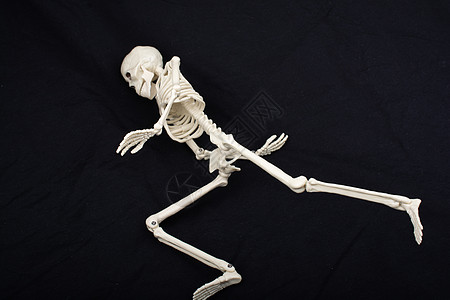 人类骨架模型 作为医学解剖科学的人体骨架模型诊所骨头骨干教育治疗髋关节大小药品教学颅骨图片
