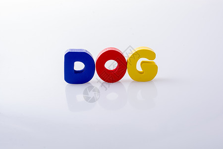 以多彩字母块写成的 DOG 单词艺术动物猎犬宠物皮带朋友小狗狗窝爪子学习图片