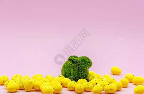 带雀斑图案的黄色复活节彩蛋和粉红色背景上的兔子场地宠物明信片假期庆典季节宗教展示天空传统图片