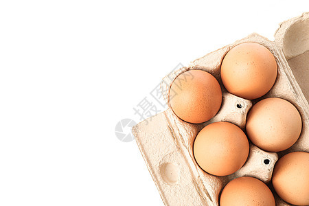 纸箱中的棕鸡蛋 在白色背景上被孤立产品动物美食午餐蛋壳食物宏观奶制品农场早餐图片