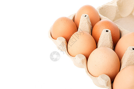 白底隔绝的纸箱中的棕鸡蛋蛋壳生活盒子销售家禽宏观农场奶制品母鸡动物图片