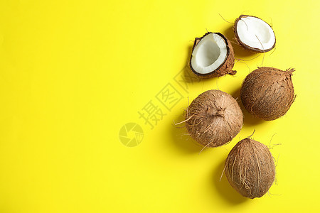 彩色背景 文字空间上的热带椰子食物木头棕榈水果假期水泥叶子可可木材蓝色图片