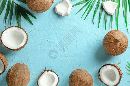 热带椰子 在颜色背景 文字空间上有棕榈枝的热带椰子团体棕榈食物艺术水泥杂志水果叶子皮肤假期图片