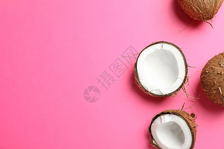 彩色背景 文字空间上的热带椰子木材水果可可假期叶子棕榈木头食物团体蓝色图片