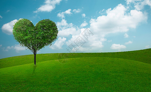 在倾斜的绿草与心形绿树在蓝天下 美丽的本质 环境好图片