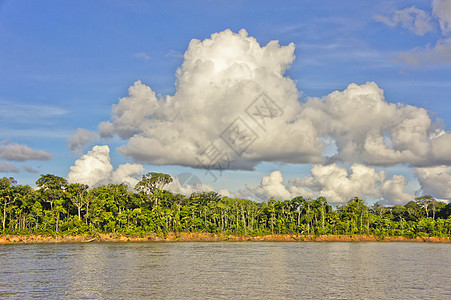 亚马逊流域 秘鲁 南美洲大树拉丁天空目的地热带风景地标风光旅行荒野图片