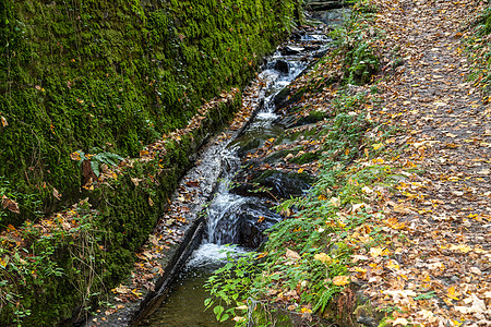 秋天在莫泽尔河上伯尔卡斯特尔库斯附近的小溪Tiefenbach绿色度假目的地旅行树叶地区旅游太阳黄色葡萄园图片