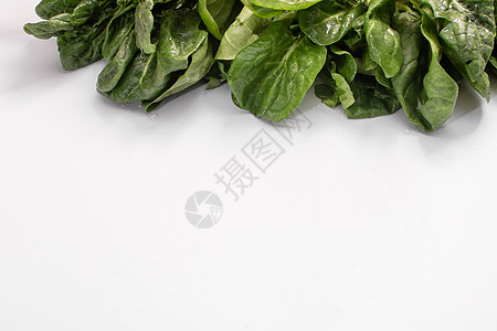 顶部白色背景的菠菜叶 Banner 字母图片