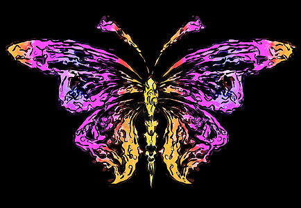 烟花蝴蝶剪影绘画墨水飞行曲线装饰昆虫辉光想像力艺术液体图片