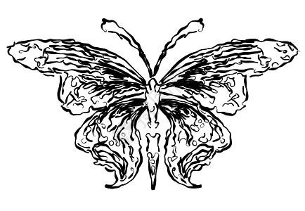烟花蝴蝶剪影装饰绘画曲线想像力插图墨水昆虫辉光风格飞行图片