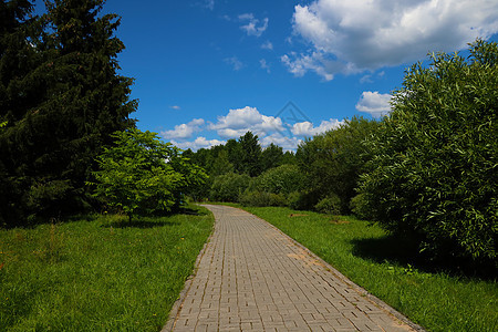 公园的漫步景在晴朗的一天图片