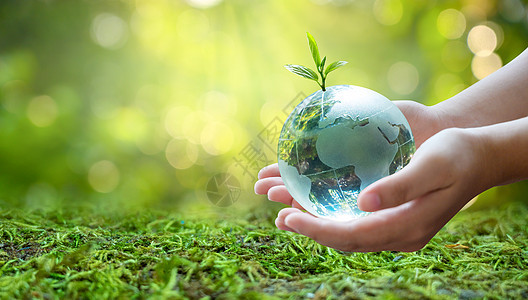 一个拿着玻璃球的男人概念日地球拯救世界拯救环境世界在绿色散景背景的草丛中叶子幼苗园艺行星活力森林阳光生活孩子生长图片