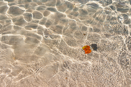 清澈透明的热带夏季海滩水背景图片