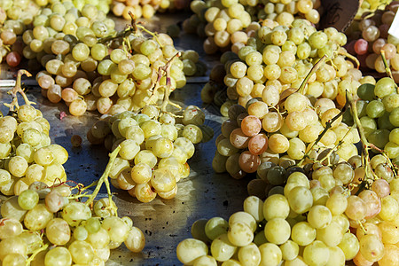 市场摊位的葡萄群季节邮政种植者水果酒厂收成商业晴天太阳植物图片
