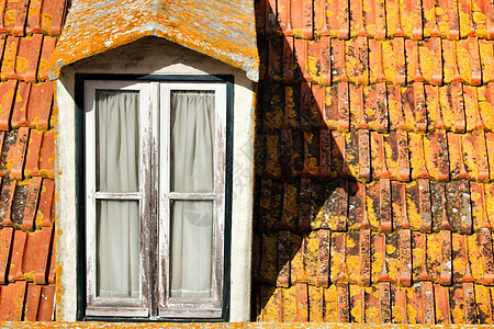里斯本的古老多彩色橙色花旗屋顶瓷砖景观场景首都橙子财产建筑学石头窗户传统图片