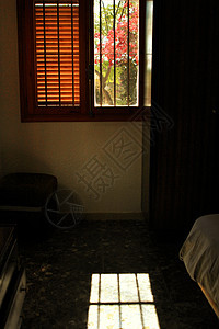 清晨阳光从窗户照射入窗外日落房子粉色日出花朵建筑学树叶太阳材质房间图片
