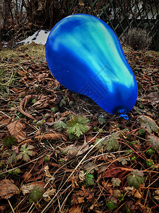 叶子上的蓝色气球背景图片