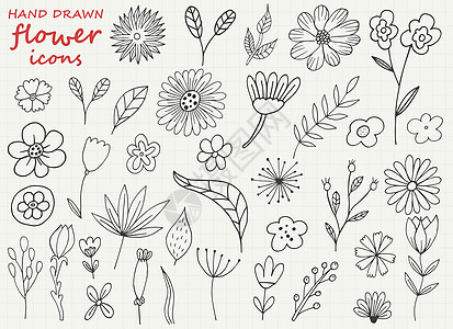背景上孤立的手绘花矢量设计插图草本植物风格婚礼装饰植物学叶子植物绘画涂鸦礼物图片