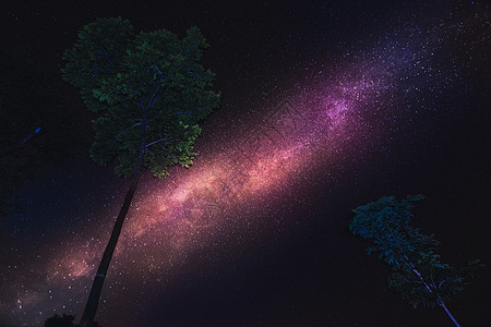 银河是美丽的蓝色科学宇宙乳白色银河系树木星云星星森林天空图片