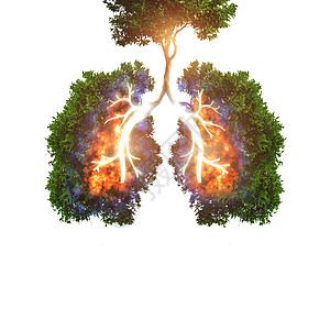 绿树肺感染图片
